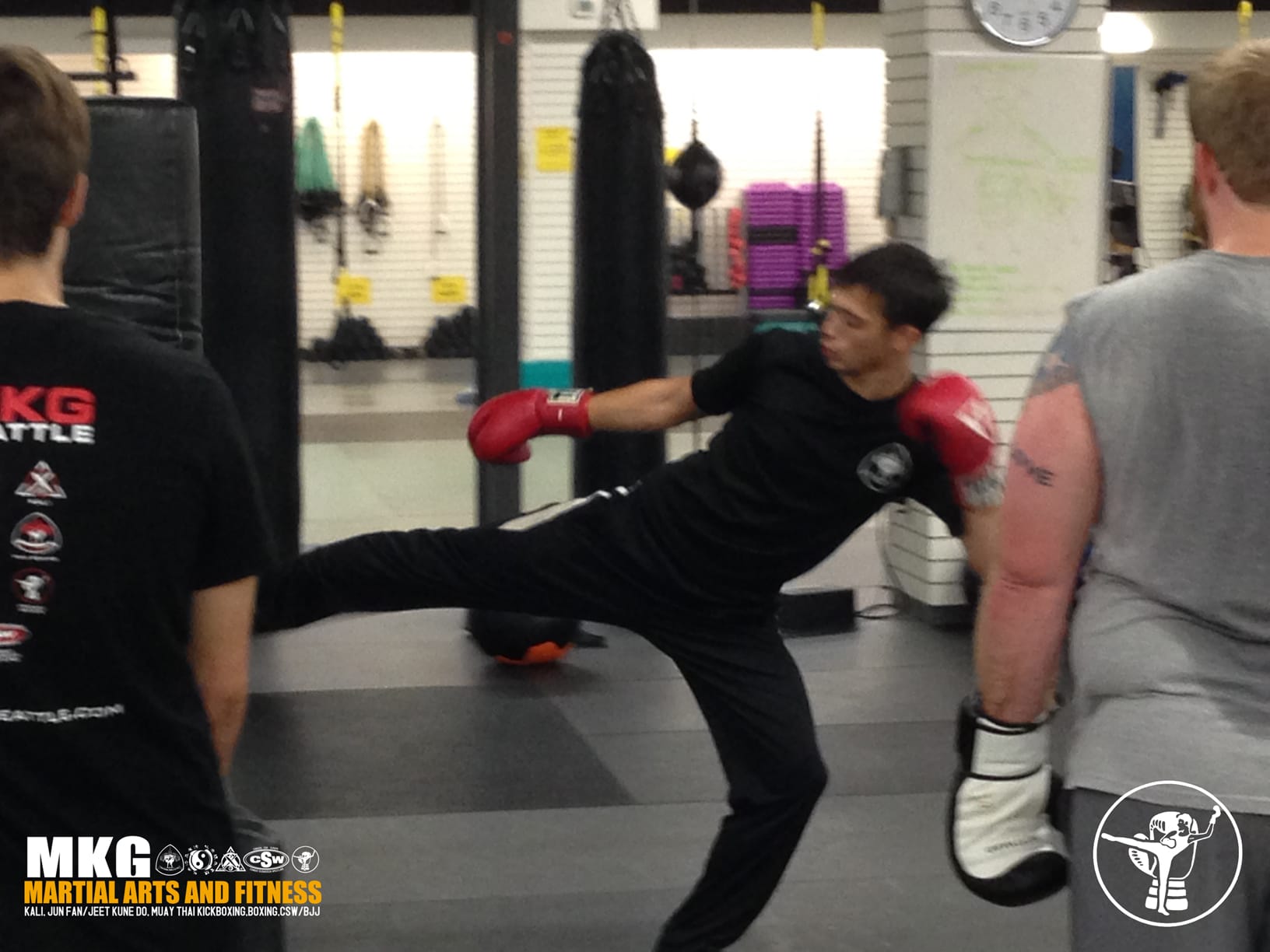 private lessons in savate