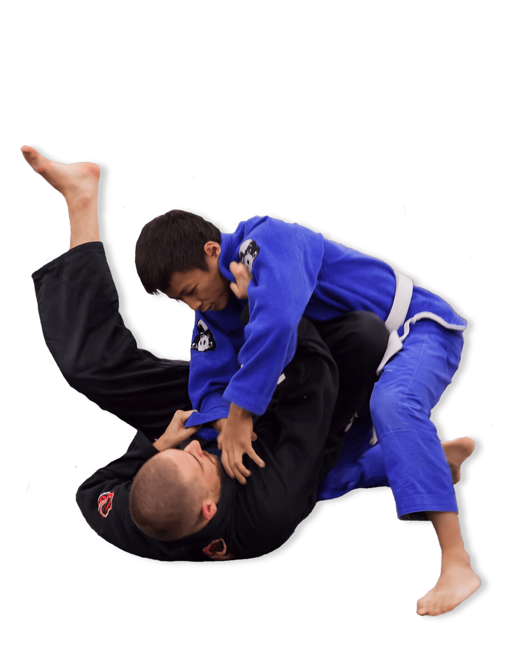 bjj classes brazilian jiu-jitsu seattle