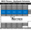 3 MaxFit Dual Program Classes + FREE T-Shirt - Image 2