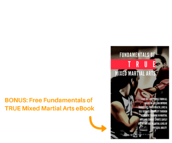 MMA true mixed martial arts seattle